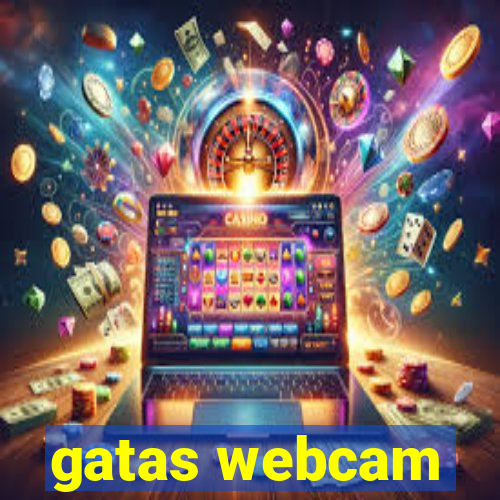 gatas webcam